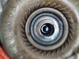 Бублик за 35 000 тг. в Астана