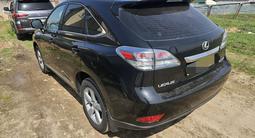 Lexus RX 350 2010 годаүшін12 500 000 тг. в Усть-Каменогорск – фото 4