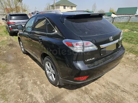 Lexus RX 350 2010 года за 12 500 000 тг. в Усть-Каменогорск – фото 4