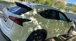 Lexus NX 200t 2015 года за 12 200 000 тг. в Семей – фото 2