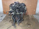 Двигатель KA24 KA24DE 2.4 Nissan Presage Rnessa 4wdүшін400 000 тг. в Караганда – фото 4