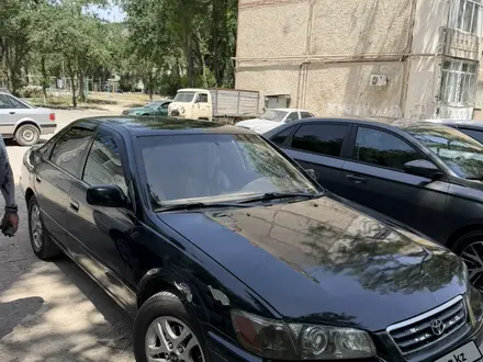 Toyota Camry 2001 года за 3 500 000 тг. в Тараз – фото 2