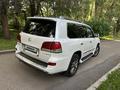 Lexus LX 570 2013 годаүшін25 500 000 тг. в Алматы – фото 10