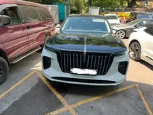 Hongqi E-HS9, 2021