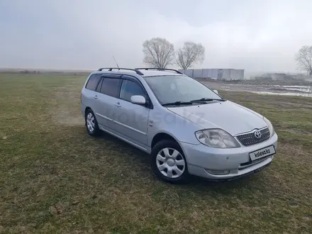 Toyota Corolla 2003 года за 3 300 000 тг. в Алматы