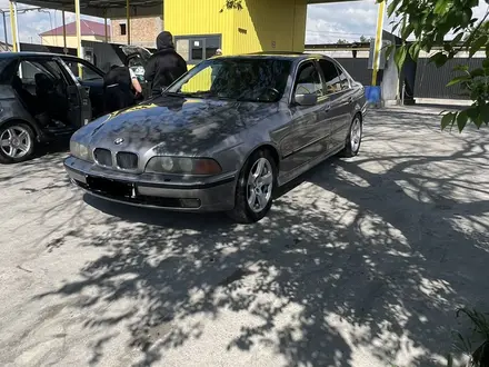 BMW 528 1996 года за 2 500 000 тг. в Шымкент – фото 2