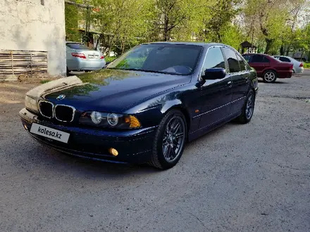 BMW 525 2002 года за 4 800 000 тг. в Шымкент – фото 3
