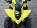 BRP  Can-Am DS 250 2006 года за 1 200 000 тг. в Караганда
