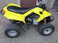 BRP  Can-Am DS 250 2006 года за 1 200 000 тг. в Караганда – фото 3