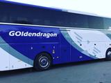 Golden Dragon 2014 года за 25 000 000 тг. в Алматы – фото 3