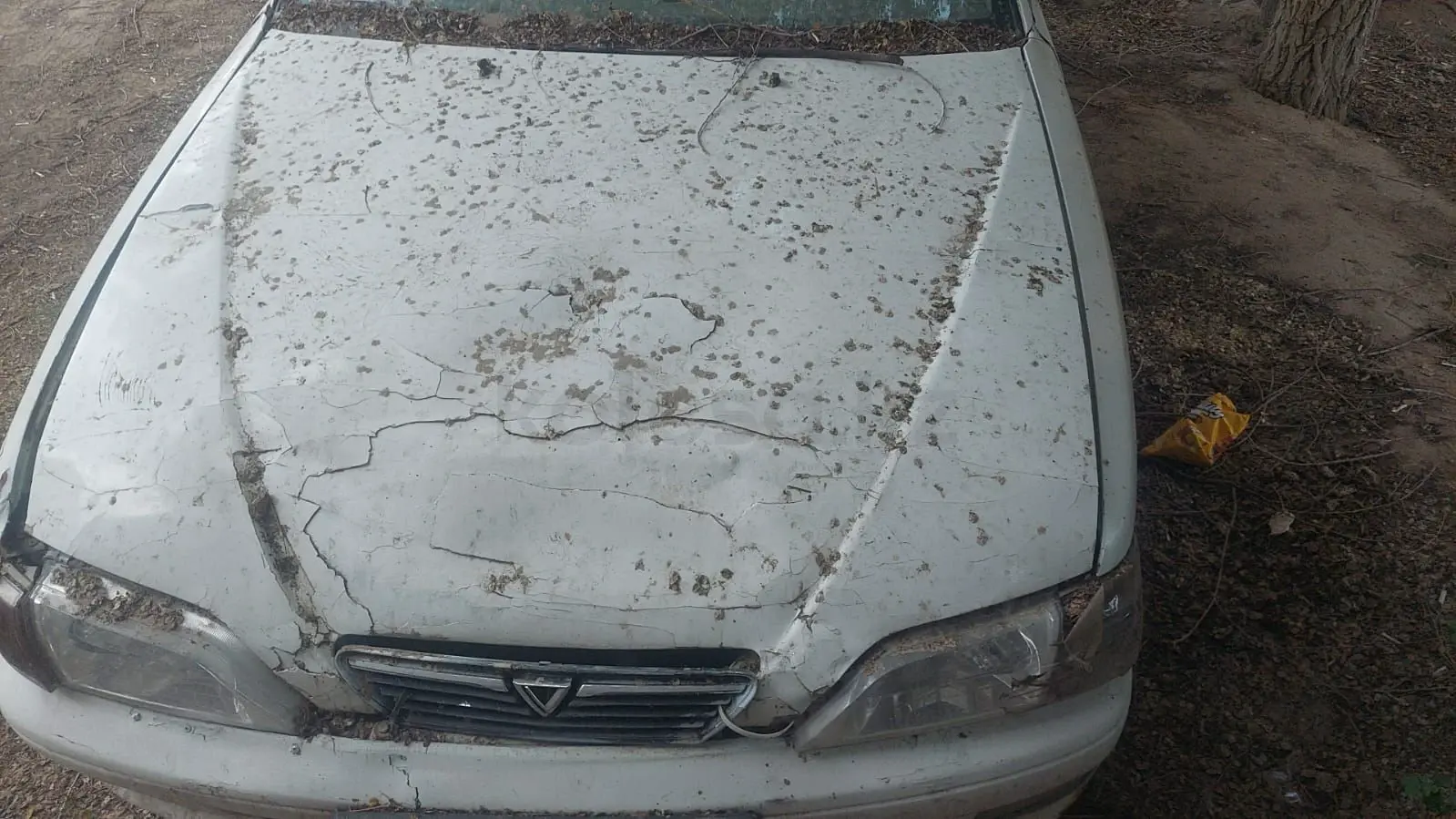 Toyota Vista, 1996