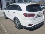 Kia Sorento 2019 года за 16 200 000 тг. в Павлодар – фото 4