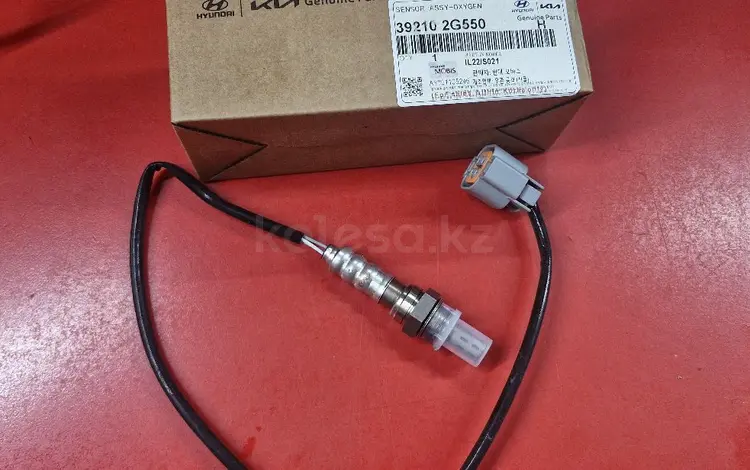 Лямбдазонд за 25 000 тг. в Алматы