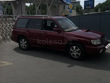 Subaru Forester 2000 года за 3 000 000 тг. в Алматы – фото 3