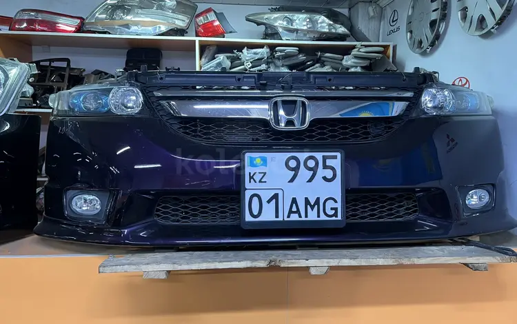 Ноускат за 250 000 тг. в Астана