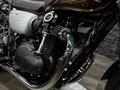 Kawasaki  W800 BATYR MOTO 2019 года за 4 500 000 тг. в Алматы – фото 6