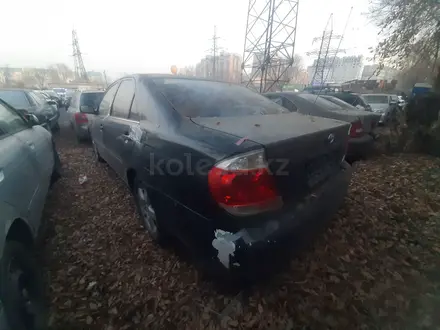 Toyota Camry 2003 года за 4 508 979 тг. в Алматы – фото 4