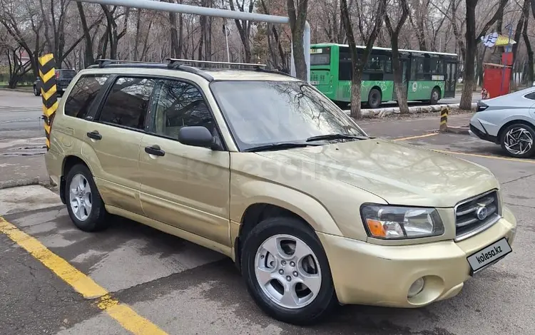 Subaru Forester 2005 года за 3 400 000 тг. в Алматы