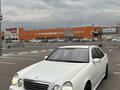 Mercedes-Benz E 55 AMG 2001 годаүшін5 000 000 тг. в Алматы – фото 2