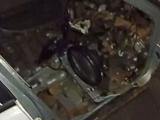 Nissan Sunny 2001 года за 415 000 тг. в Костанай – фото 2