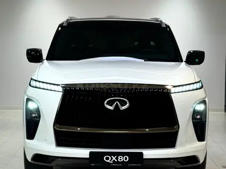 Infiniti QX80, 2025
