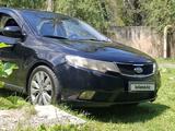 Kia Cerato 2011 годаүшін4 000 000 тг. в Алматы – фото 5