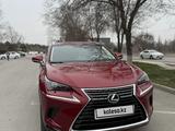 Lexus NX 200 2019 года за 16 900 000 тг. в Шымкент – фото 2