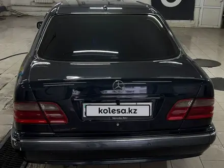 Mercedes-Benz E 240 2001 года за 3 750 000 тг. в Павлодар – фото 6