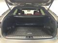 Lexus RX 300 F Sport+ 2018 года за 18 500 000 тг. в Алматы – фото 17