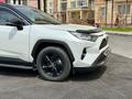 Toyota RAV4 2021 годаүшін17 000 000 тг. в Шымкент – фото 2