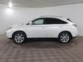 Lexus RX 270 2010 годаүшін10 500 000 тг. в Шымкент – фото 8
