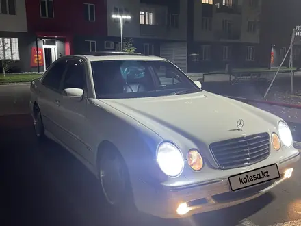 Mercedes-Benz E 55 AMG 1999 года за 8 700 000 тг. в Алматы – фото 12