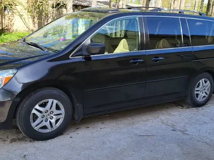 Honda Odyssey 2005 года за 5 500 000 тг. в Тараз – фото 6