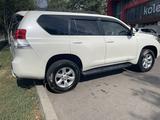 Toyota Land Cruiser Prado 2010 годаүшін13 500 000 тг. в Алматы – фото 4