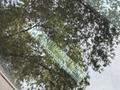 Toyota Camry 2021 годаүшін10 000 000 тг. в Алматы – фото 11