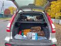 Honda CR-V 2007 года за 6 000 000 тг. в Усть-Каменогорск – фото 5