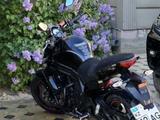 Kawasaki  er650 2016 годаүшін4 000 000 тг. в Актау – фото 2