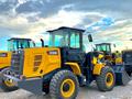 XCMG  LW300FN 2025 года за 14 200 000 тг. в Алматы – фото 45