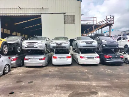 AHMAD EXPORT. Автомобили и запчасти из Южной Кореи. в Алматы