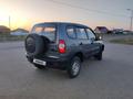 Chevrolet Niva 2014 года за 2 900 000 тг. в Атырау – фото 3