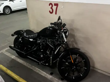 Harley-Davidson  Sportster 883 2020 года за 7 200 000 тг. в Алматы – фото 5