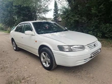 Toyota Camry 1999 года за 2 570 000 тг. в Усть-Каменогорск – фото 2