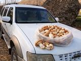 ChangFeng SUV 2007 годаүшін2 500 000 тг. в Аксукент – фото 2