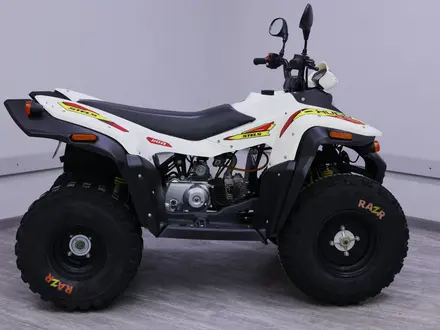 Stels  Hugo ATV — 110A 2020 года за 490 000 тг. в Алматы – фото 7