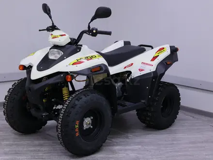 Stels  Hugo ATV — 110A 2020 года за 490 000 тг. в Алматы
