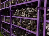ДРОССЕЛЬНАЯ ЗАСЛОНКА И КАТУШКА АЛМАТЫ КУПИТЬ НИССАН МАКСИМА ЦЕФИРО А32 А33 за 30 000 тг. в Алматы