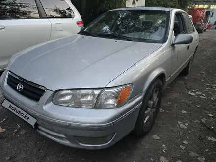 Toyota Camry 2001 года за 3 800 000 тг. в Алматы