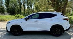 Lexus NX 350 2023 годаүшін35 500 000 тг. в Атырау – фото 3