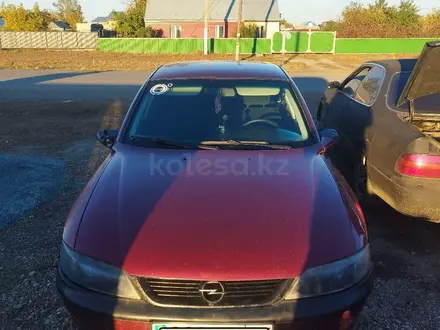 Opel Vectra 2000 года за 800 000 тг. в Петропавловск – фото 4