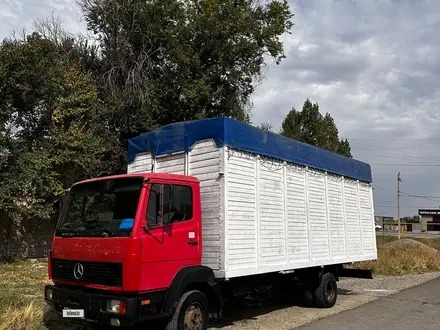 Mercedes-Benz  814 1995 года за 6 000 000 тг. в Тараз – фото 3